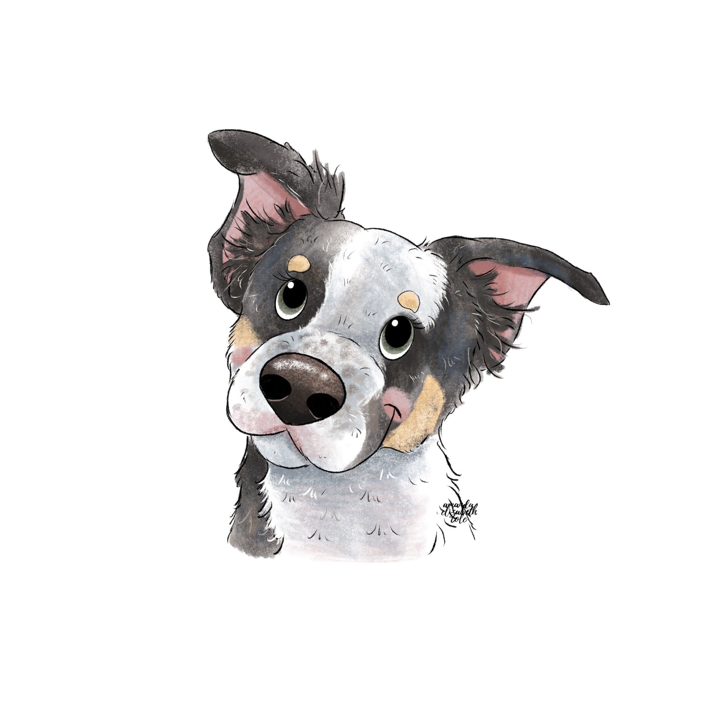 Headshot Pet Illustration (DIGITAL)